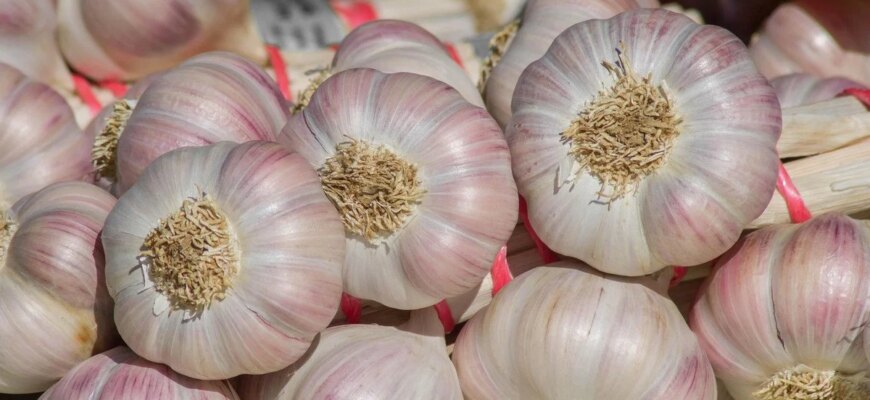 Цей суперфуд знижує тиск: простий продукт з вашої кухні, що рятує судини