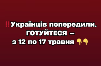 Сезонні ярмарки в Києві: де та коли закупитися продуктами з 12 по 17 травня