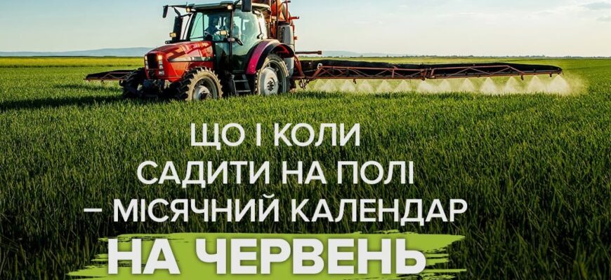 Посівний календар на червень: як розпланувати роботи, щоб город став гордістю