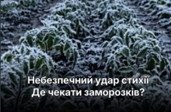 В Україну повертаються заморозки та негода: синоптики попередили про «небезпечний удар стихії»
