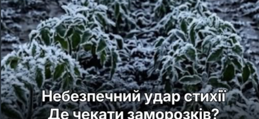 В Україну повертаються заморозки та негода: синоптики попередили про «небезпечний удар стихії»