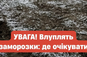 В Україну повертаються заморозки та негода: синоптики попередили про «небезпечний удар стихії»