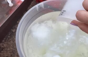 Секретна «бовтанка» від баби Галі: як отримати рекордний врожай помідорів без хімії