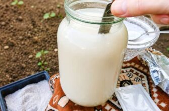 Секретний розчин для огірків: 1 пакетик у воду — і врожай збиратимете відрами