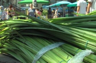 Якими гілками категорично заборонено прикрашати дім на Трійцю: народні прикмети