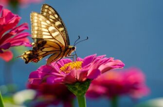 Літній розворот: які регіони першими відчують справжню спеку