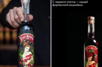 росіяни скопіювали львівську «П’яну вишню»: відкрили заклад «Конь и вишня» зі стейками з конини