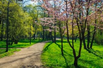 Потепління прийде не до всіх: де ще литимуть дощі та коли чекати справжнього літа