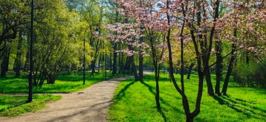 Потепління прийде не до всіх: де ще литимуть дощі та коли чекати справжнього літа
