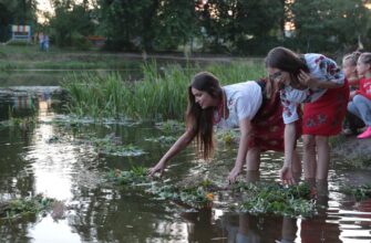Магія ранкової роси: за якими рослинами наші предки вирушали ще до світанку