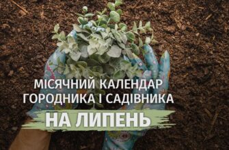 Посадіть у правильний день: місячний календар садівника на липень 2026 уже відомий!