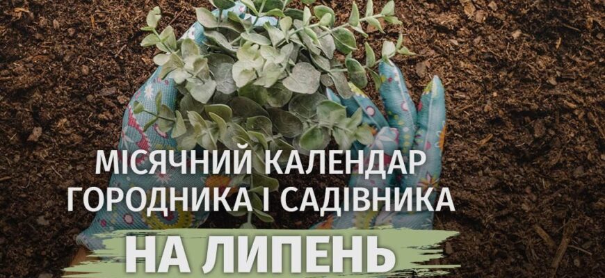 Посадіть у правильний день: місячний календар садівника на липень 2026 уже відомий!