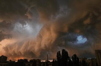 Природа лютує: стихія знищила врожай та накоїла лиха в регіонах