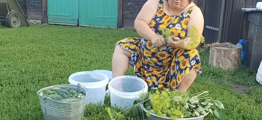 «П’яні» огірочки: секретний метод консервації, що підкорив навіть найвибагливіших гурманів
