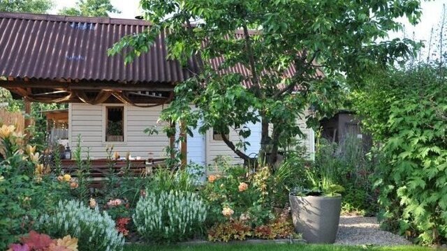 Дерева-енергетичні вампіри: які рослини приносять біду до вашого дому