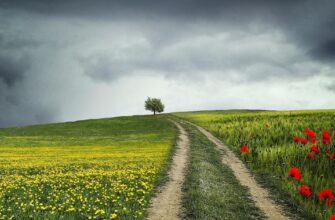 Атмосферні фронти атакують: де очікувати на потужні зливи та град 9 червня