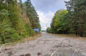 Гриби на мінах: Білорусь намагається заманити українців через кордон