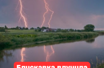 Відпочинок біля водойми закінчився трагедією: що відомо про інцидент під час негоди