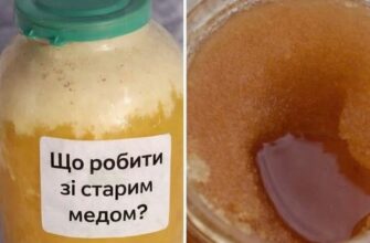 Зберігали мед роками? Ось як зрозуміти, чи можна його ще вживати
