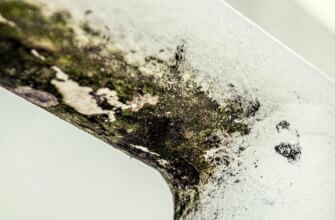Вогкість у ванній: чому ви досі переплачуєте за осушувачі