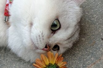 Хто відзначає іменини 22 червня: не забудьте привітати своїх близьких