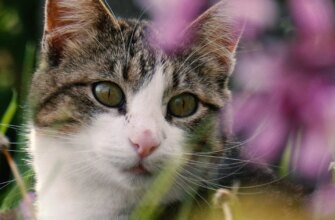 Хто відзначає іменини 30 червня: перевірте, чи є ваше ім’я у списку
