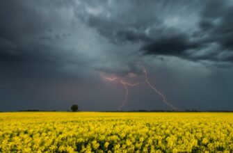 Дощі з грозами повертаються: на Київщині готуються до різкої зміни погоди