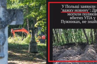 Новий провал польських ексгуматорів: на Волині знову нічого не знайшли