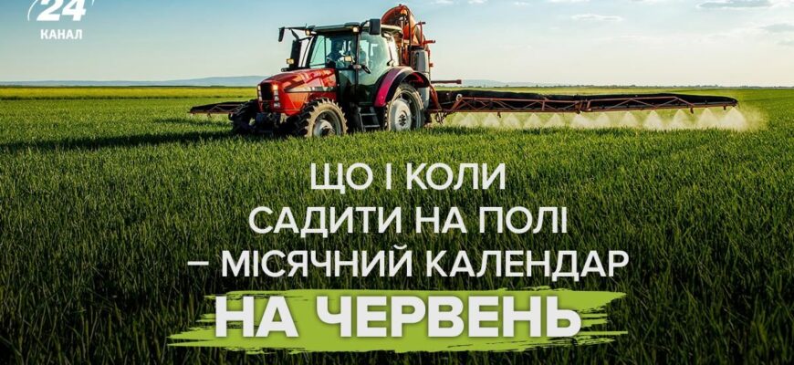 Збираємося на город: як фази Місяця допоможуть отримати щедрий урожай у липні