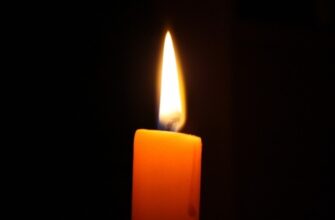 Її любили мільйони: пішла з життя зірка культового горору у розквіті сил