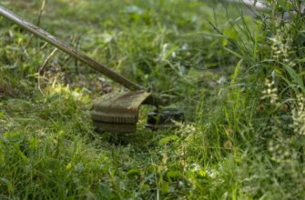 Не поспішайте викидати: як перетворити скошену траву на цінний ресурс для ділянки