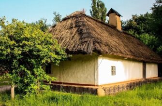 Накличете біду: які дерева біля дому категорично заборонено рубати?