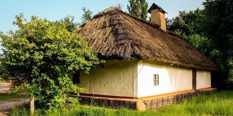 Накличете біду: які дерева біля дому категорично заборонено рубати?