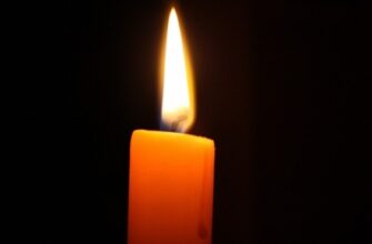 Неочікувано померла відома українська журналістка: трагічна звістка сколихнула медіапростір