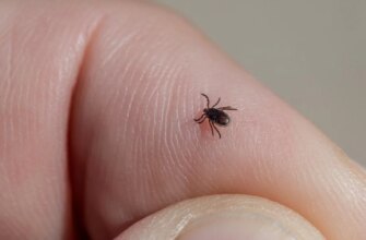 Несподіваний спосіб позбутися кліщів у саду без хімії: про нього знають не всі