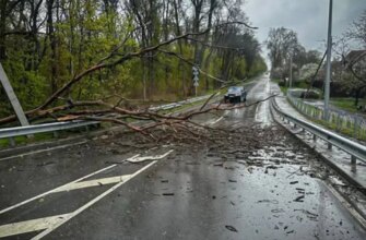 Нова хвиля небезпечної погоди знову вдарить: на Київщині оголошено штормове попередження