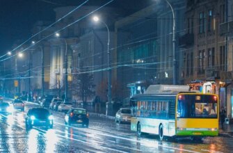 Громадянська перемога: як звичайні поляки обійшли політичні ігри заради підтримки України