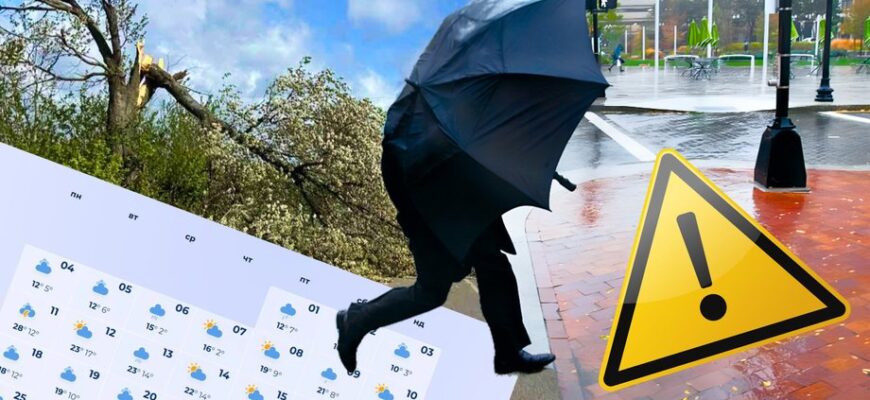 Стрімке похолодання та шквальний вітер: синоптики попередили про зміну погоди