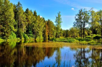 Що викидали з дому 8 червня для залучення успіху: забуті традиції