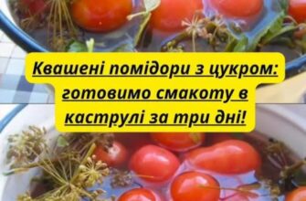 Ідеальна закуска без клопоту: секрет квашених помідорів у каструлі