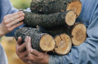 Якісні дрова: як обрати паливо, щоб не зіпсувати димохід та не змерзнути