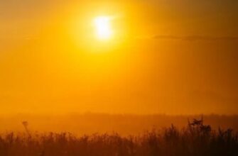 Спека відступає чи припікає: якою буде погода найближчими вихідними