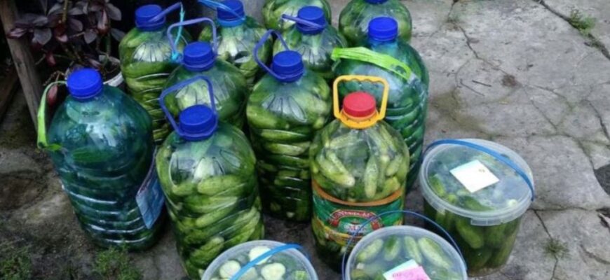 Хрумкі огірочки з пластикової пляшки: рецепт, який підкорив усіх
