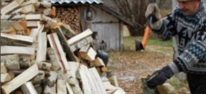 Штрафи до 8000 гривень: що треба знати про законну заготівлю дров