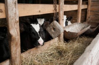 Біологічна небезпека на півдні: окупанти створюють смертельну загрозу для цивільних