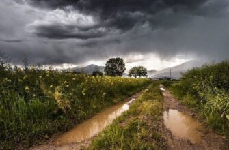 Україну накриють грози, град і сильний вітер: де і коли вируватиме негода