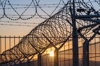 Загратували за цинізм: відомого блогера відправили до в’язниці через крадіжку донатів та приниження військових