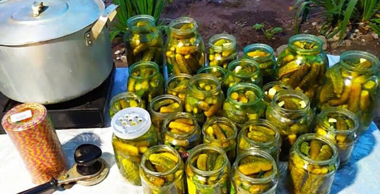 Готуємо по 100 банок і все одно мало: секрет ідеально хрустких огірків