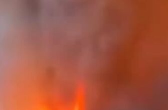 Масштабна пожежа на Львівщині: вогонь ледь не дістався житлового будинку