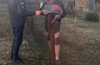 Примусове вилучення ділянок: у яких випадках держава має право позбавити вас права власності на землю